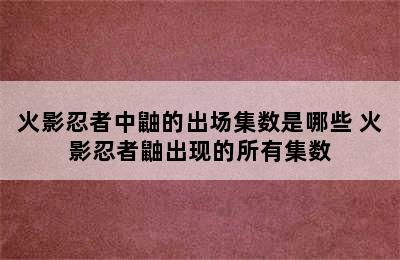 火影忍者中鼬的出场集数是哪些 火影忍者鼬出现的所有集数